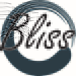 Bliss logo with stylized black script lettering over a dark teal circular brushstroke design and curved accent lines