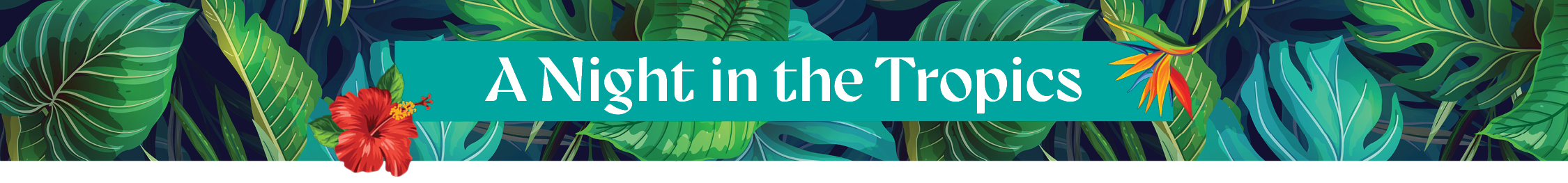 Night in the Tropics header