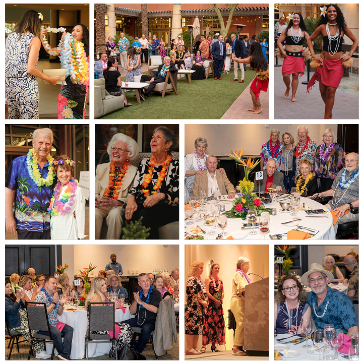 Night in the Tropics header